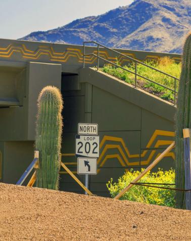 AZ freeway with cactus