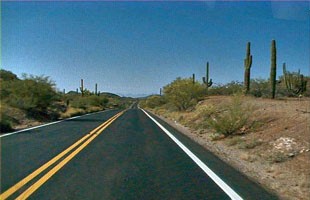 Organ Pipe Cactus Parkway Organ Pipe Cactus Parkway