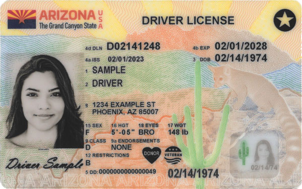 AZ Driver License Sample AZ Driver License Sample