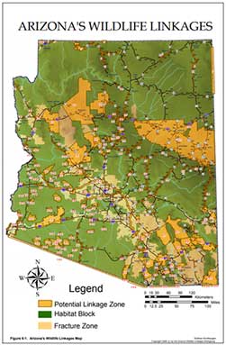 Arizona Wildlife Linkages