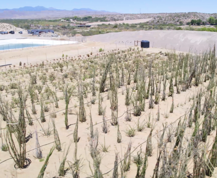 Plant nursery along US 93